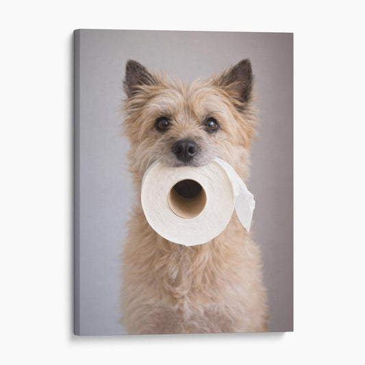 Cairn Terrier Dog Toilet Paper