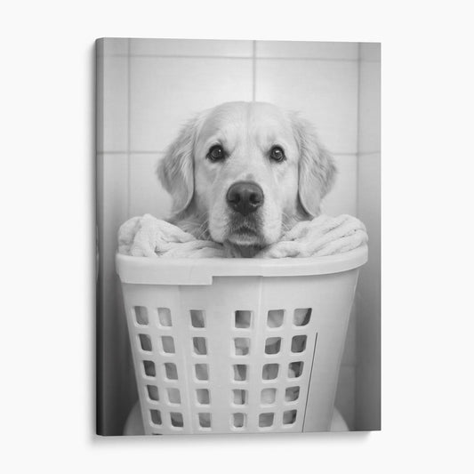 Golden Retriever Dog Laundry