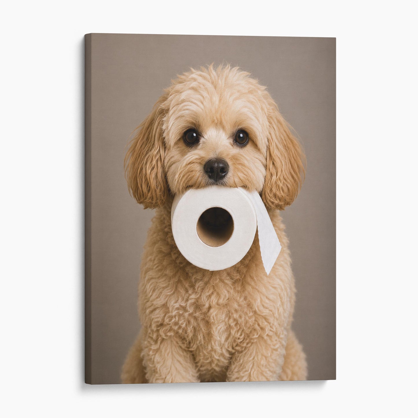 Maltipoo Dog Toilet Paper