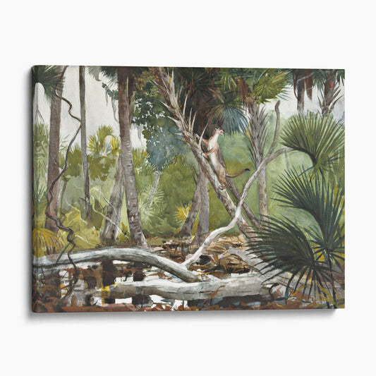 In the Jungle, Florida by Winslow Homer