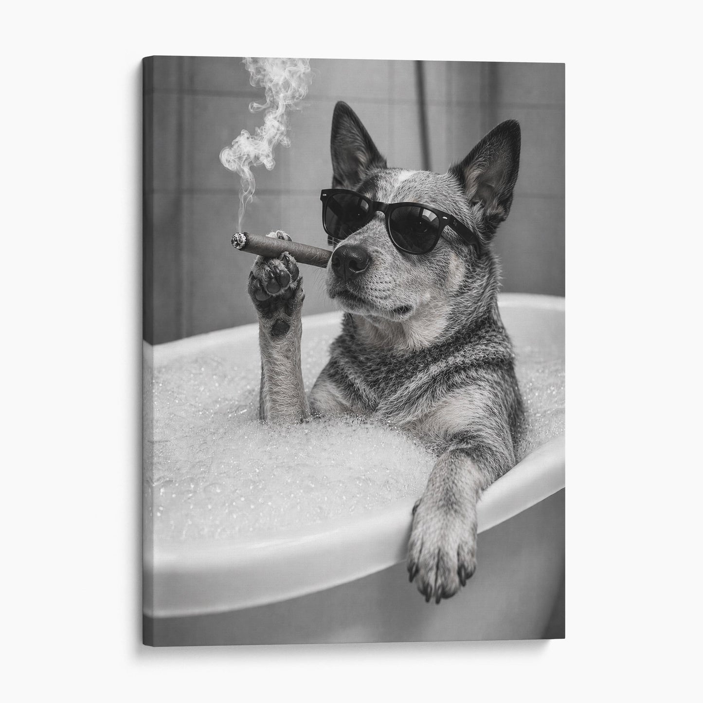 Australian Cattle Dog Bathtub Cigar