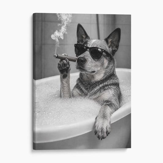 Australian Cattle Dog Bathtub Cigar