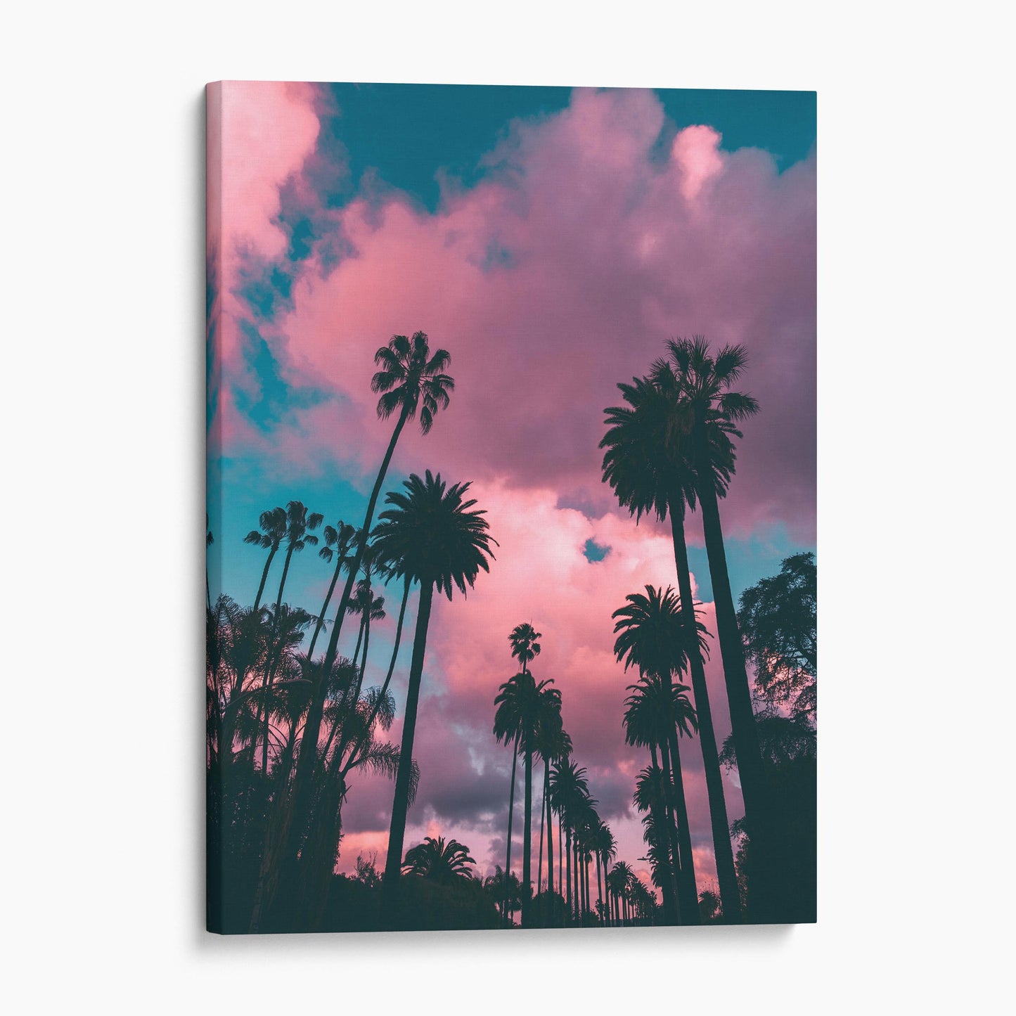 Los Angeles Palm Trees Sunset