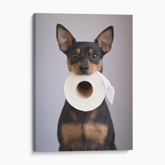 Miniature Pinscher Dog Toilet Paper