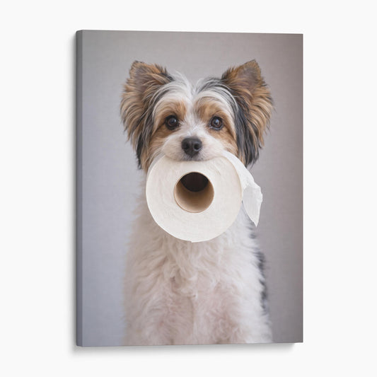 Biewer Terrier Dog Toilet Paper