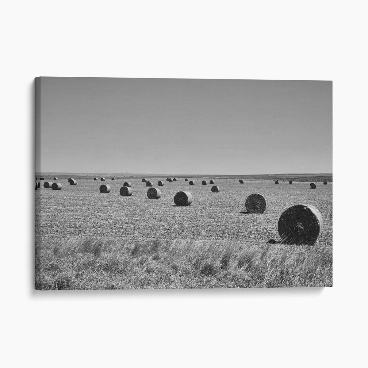 Hay Rolls