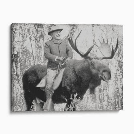 Teddy Roosevelt Riding A Moose II