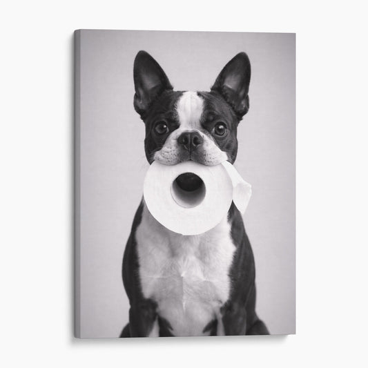 Boston Terrier Dog Toilet Paper