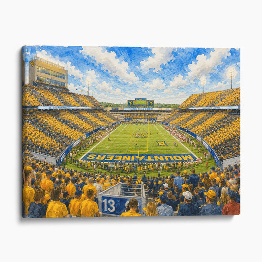 Mountaineer Field at Milan Puskar Stadium