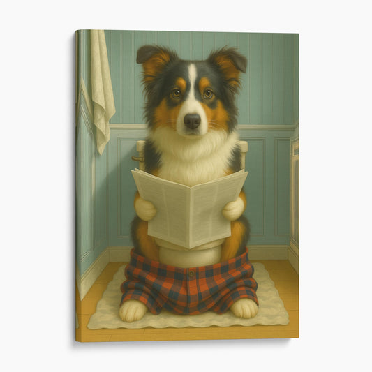 Australian Shepherd Dog Reading The Newspaper On The Toilet