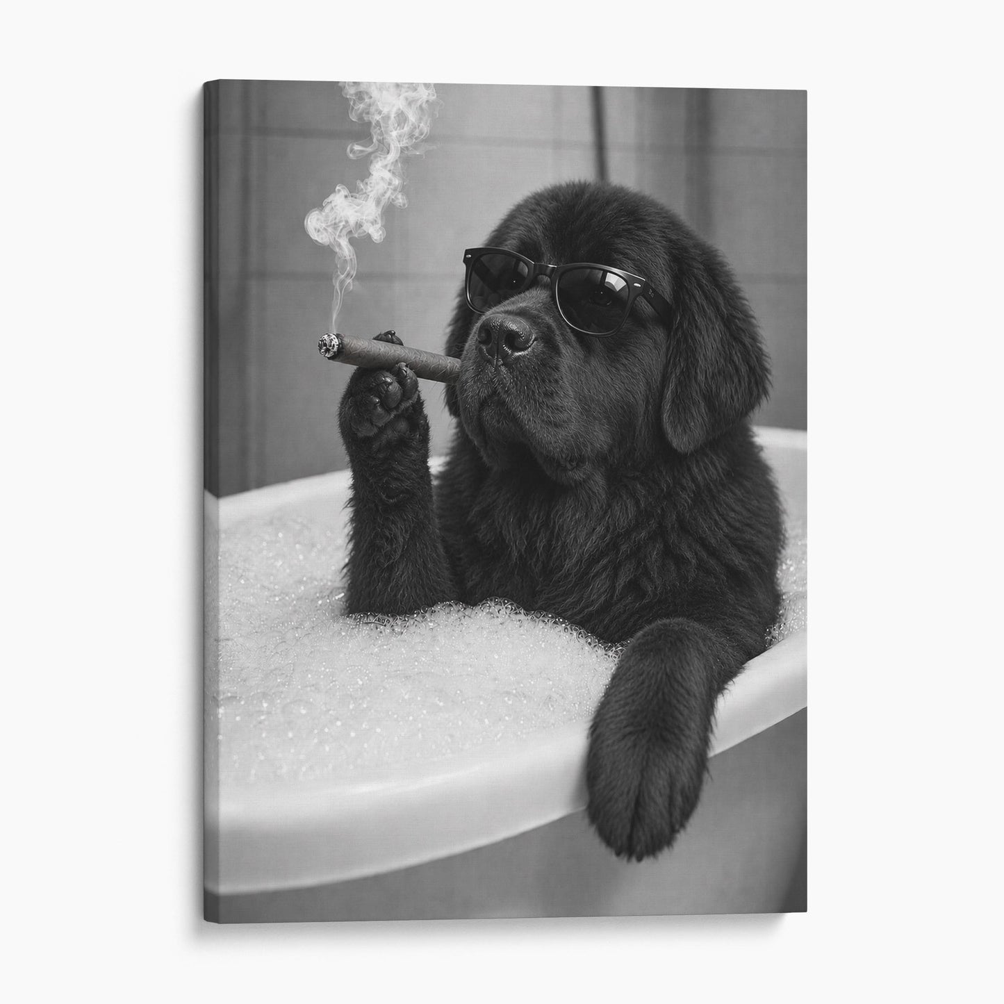 Newfoundland Dog Bathtub Cigar