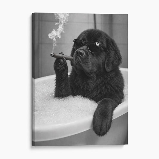 Newfoundland Dog Bathtub Cigar