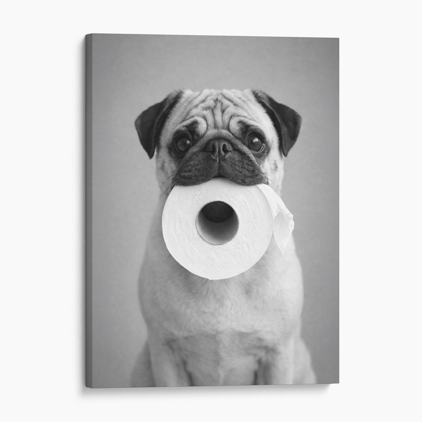 Pug Dog Toilet Paper