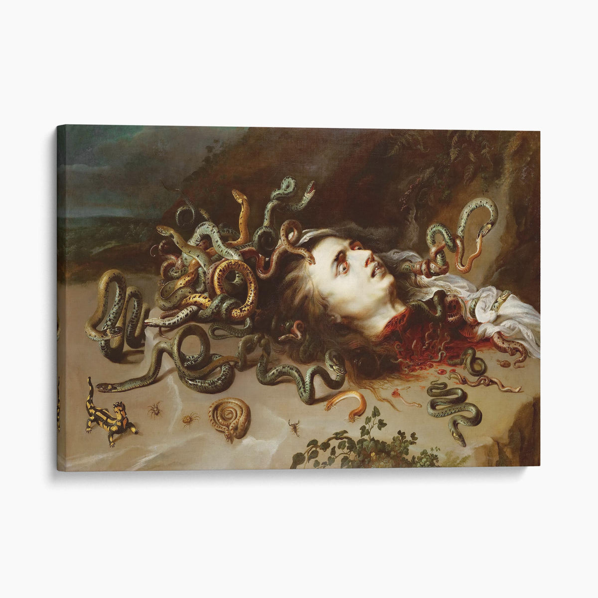 Medusa, 1618 - Peter Paul Rubens