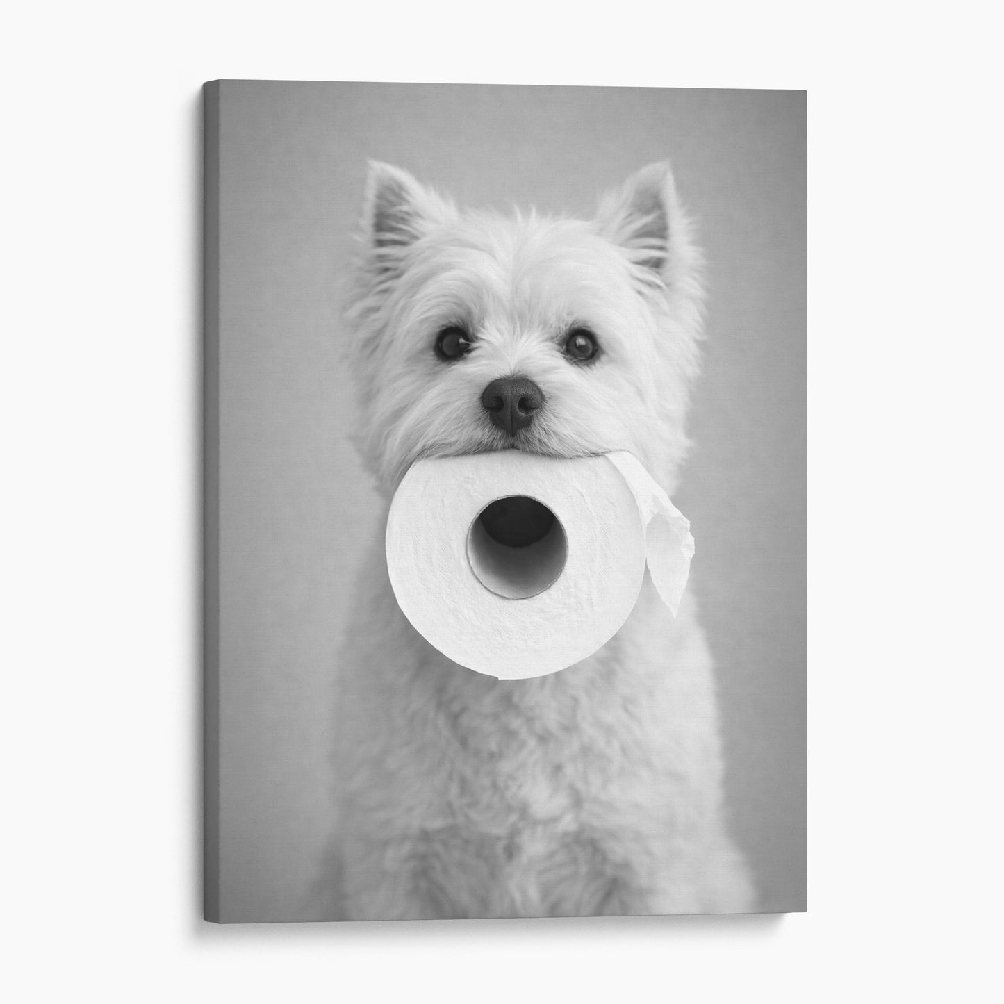 West Highland White Terrier Dog Toilet Paper