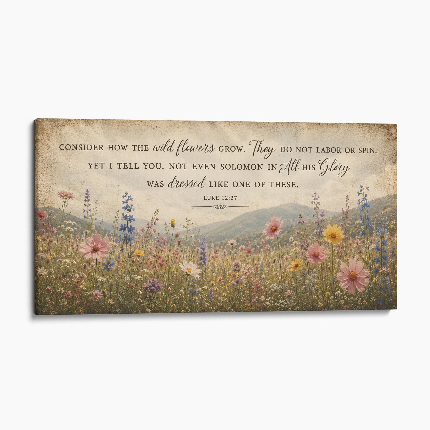 Consider How The Wildflowers Grow - Luke 12:27