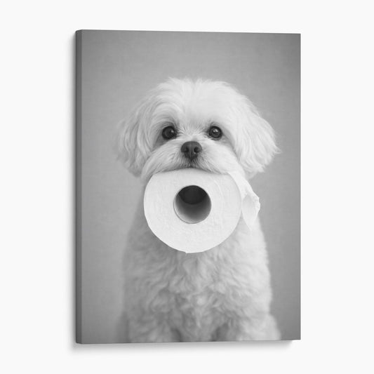 Maltese Dog Toilet Paper