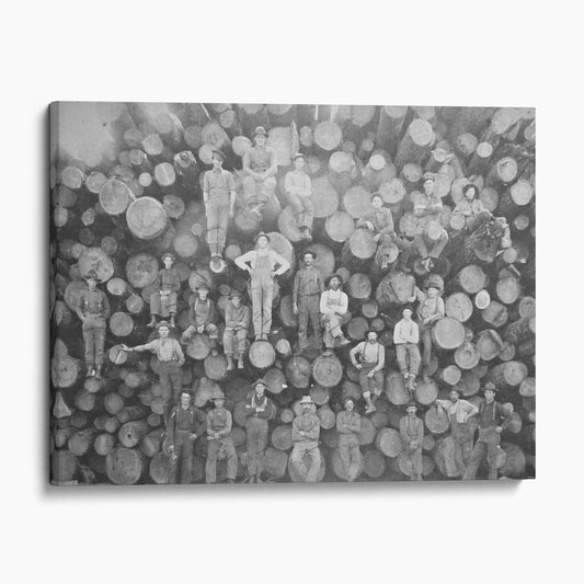 Lumberjacks Who Felled Big Trees Using Only Hand Tools