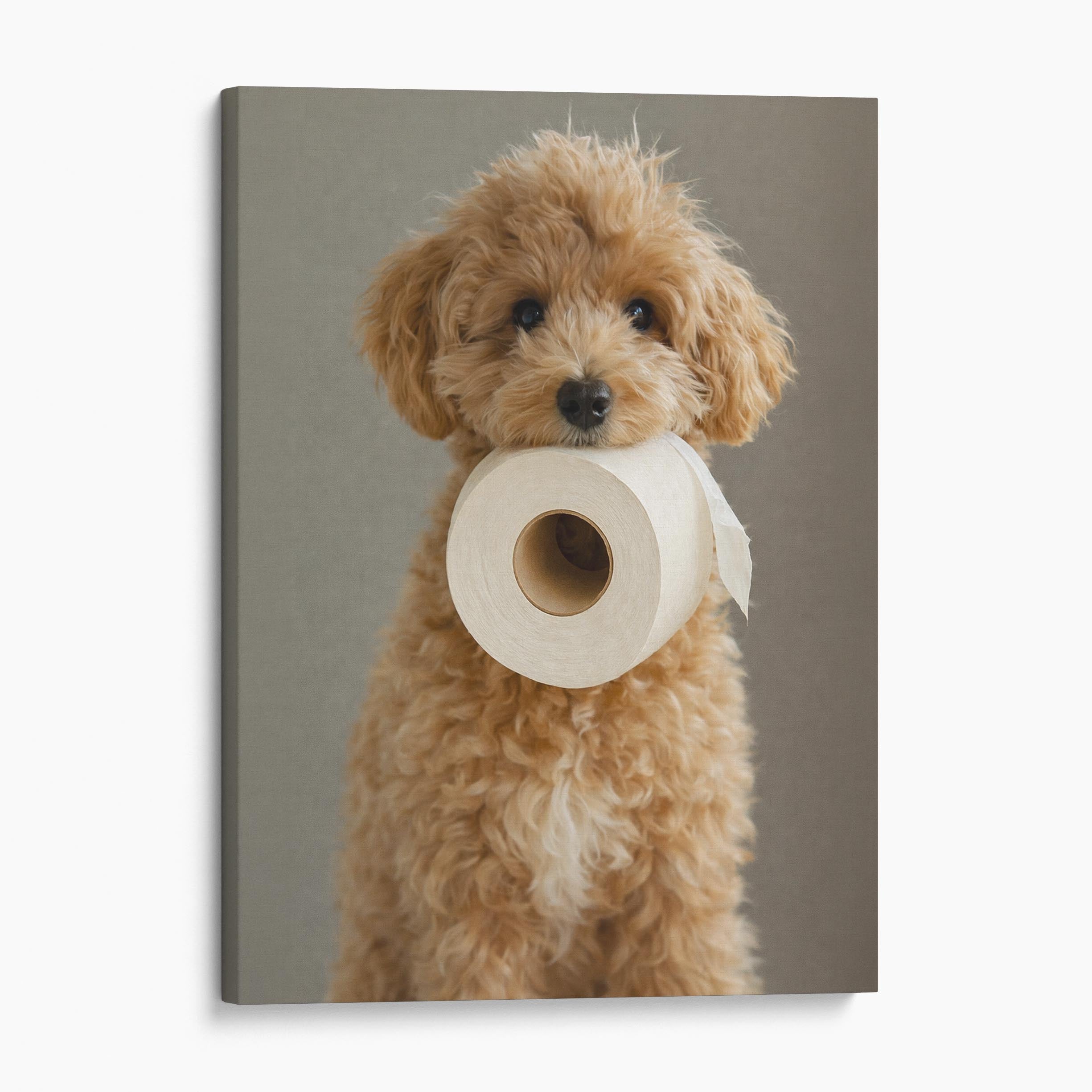 Cockapoo Things Paper Cockapoo Dog Toilet Paper Canvas Wall Art Prints – Big Canvas Art Prints
