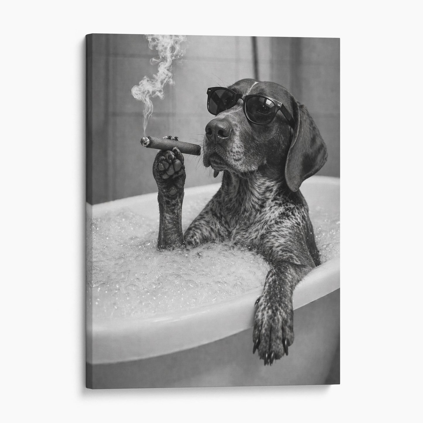 German Shorthaired Pointer Dog Bathtub Cigar