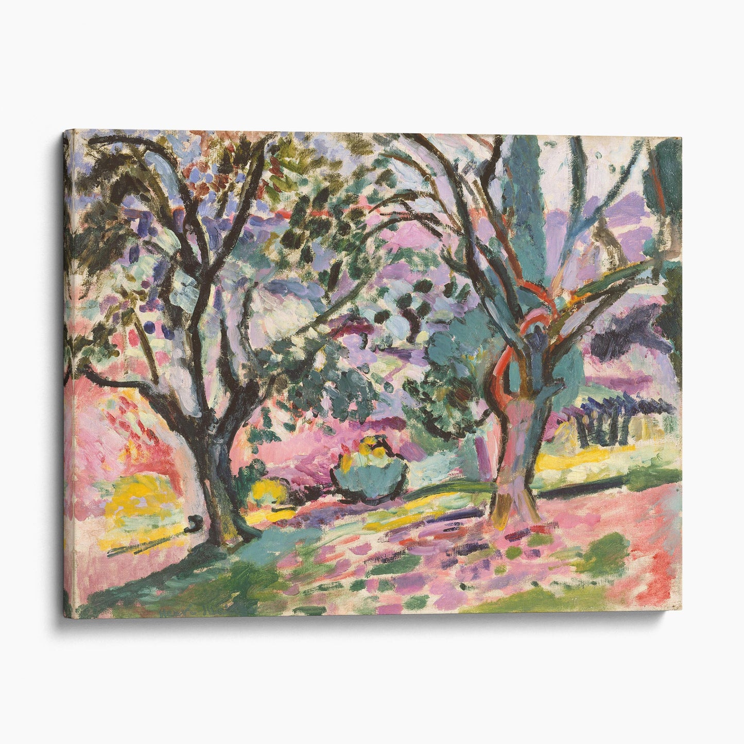 Olive Trees at Collioure 1905 Landscape by Henri Matisse