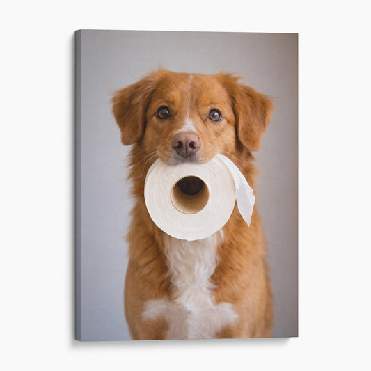 Nova Scotia Duck Tolling Retriever Dog Toilet Paper