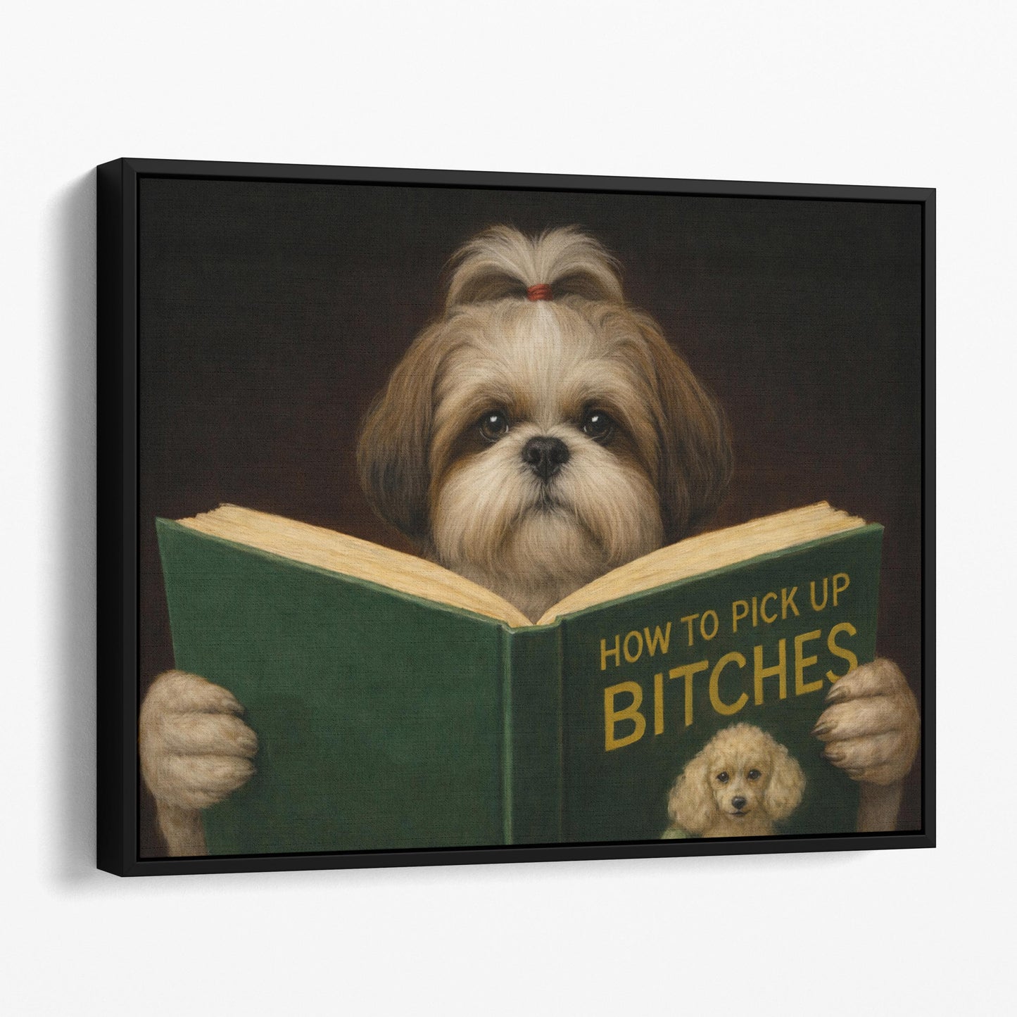 Shih Tzu Reading Dog Dating Book