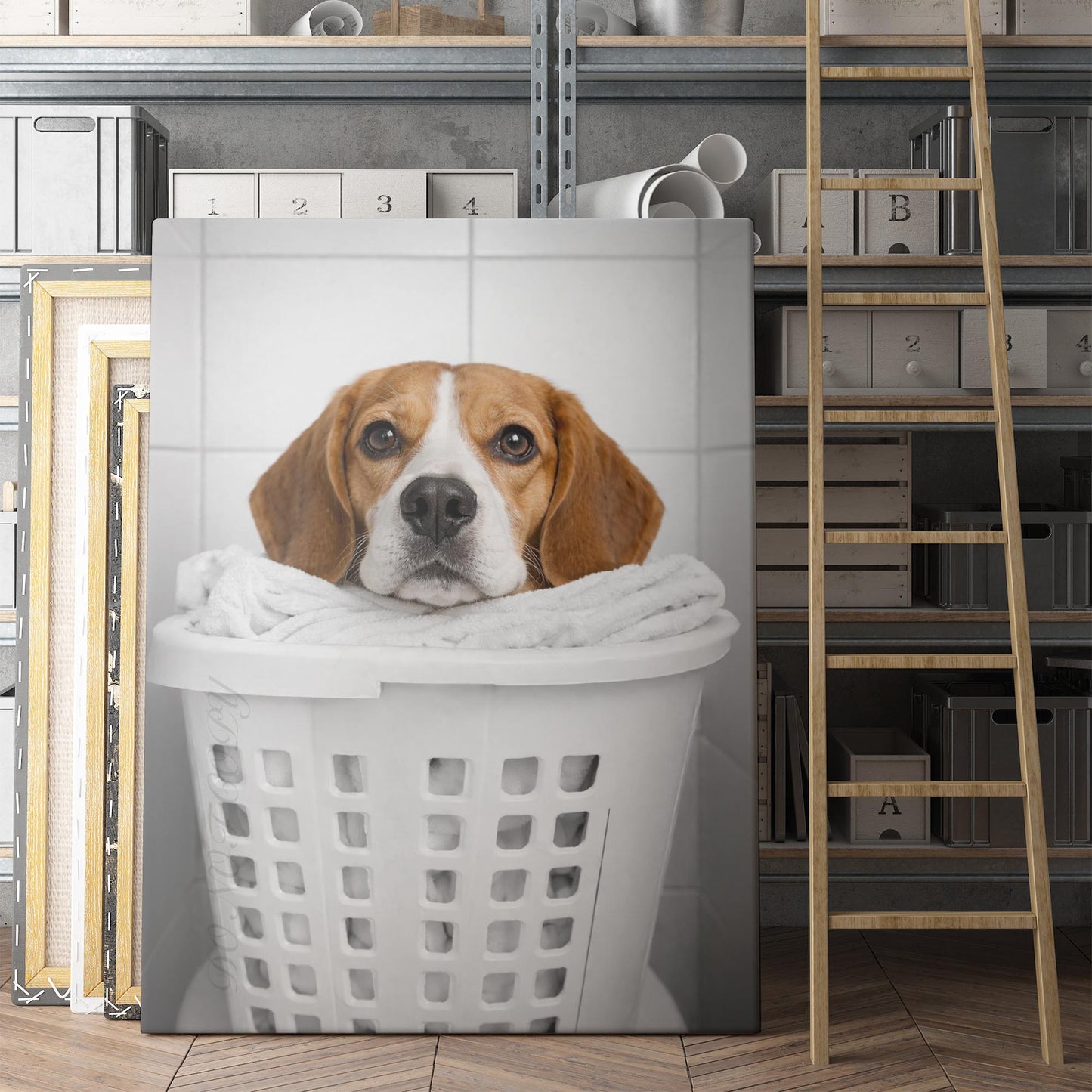 Beagle Dog Laundry