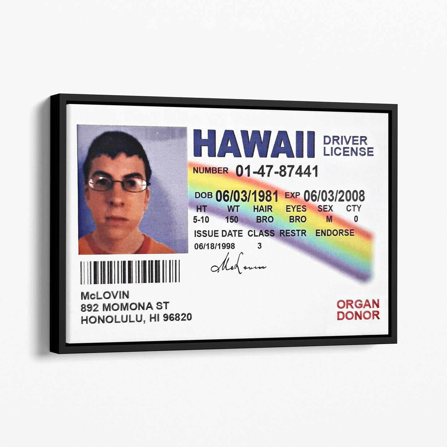 McLovin - Fogell Fake ID