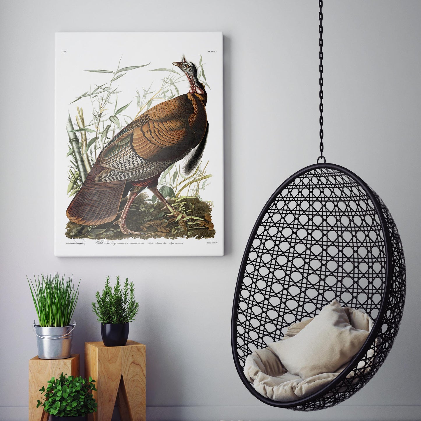 Wild Turkey by Audubon, Birds of America