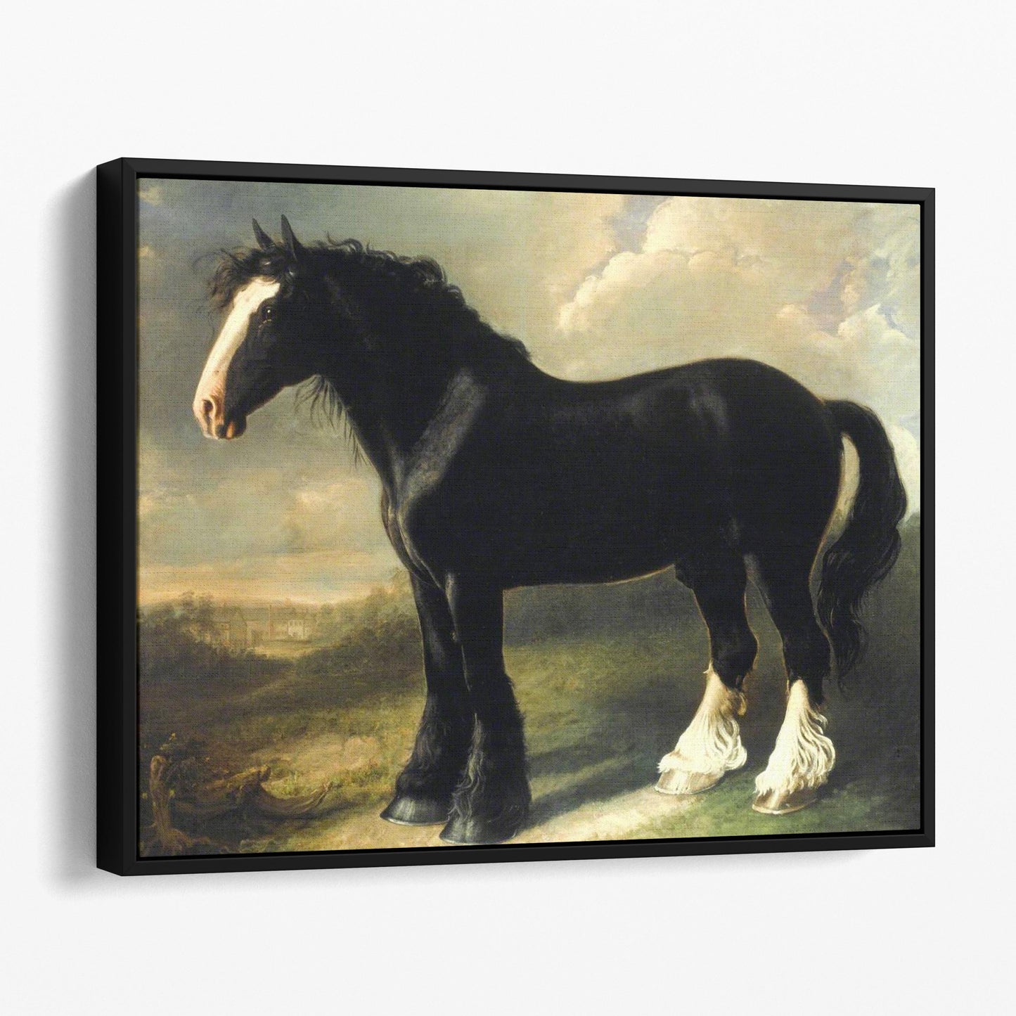 Old English Black Horse by William Shiels