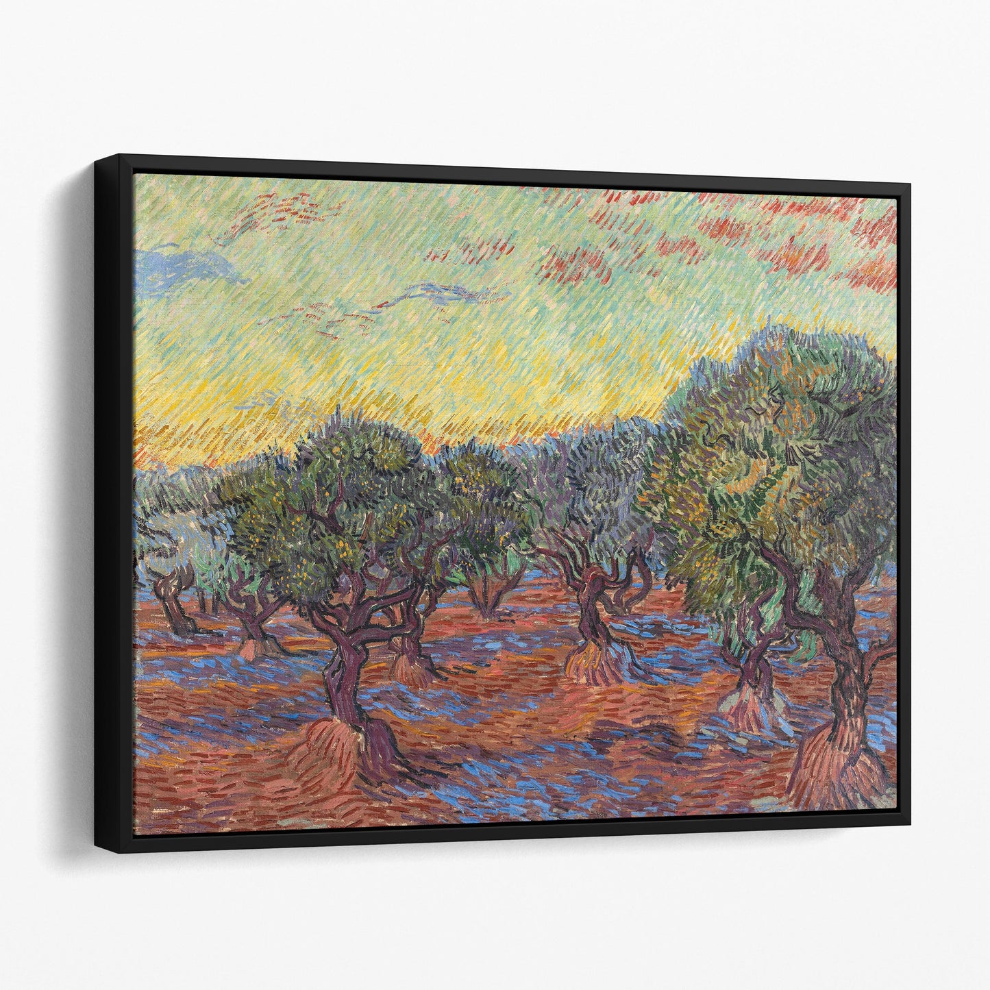 Grove of Olive Trees by Van Gogh