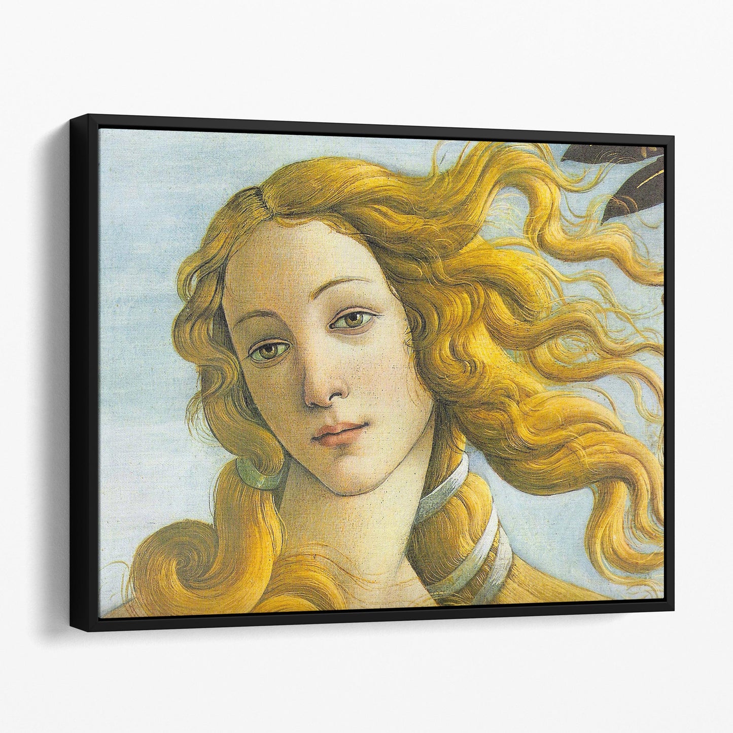 The Birth of Venus - Botticelli