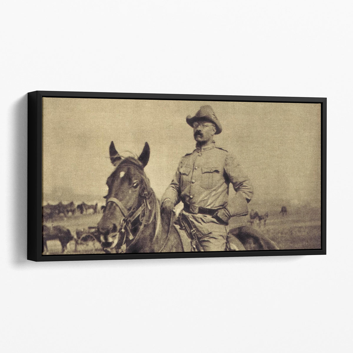 Teddy Roosevelt Rough Rider
