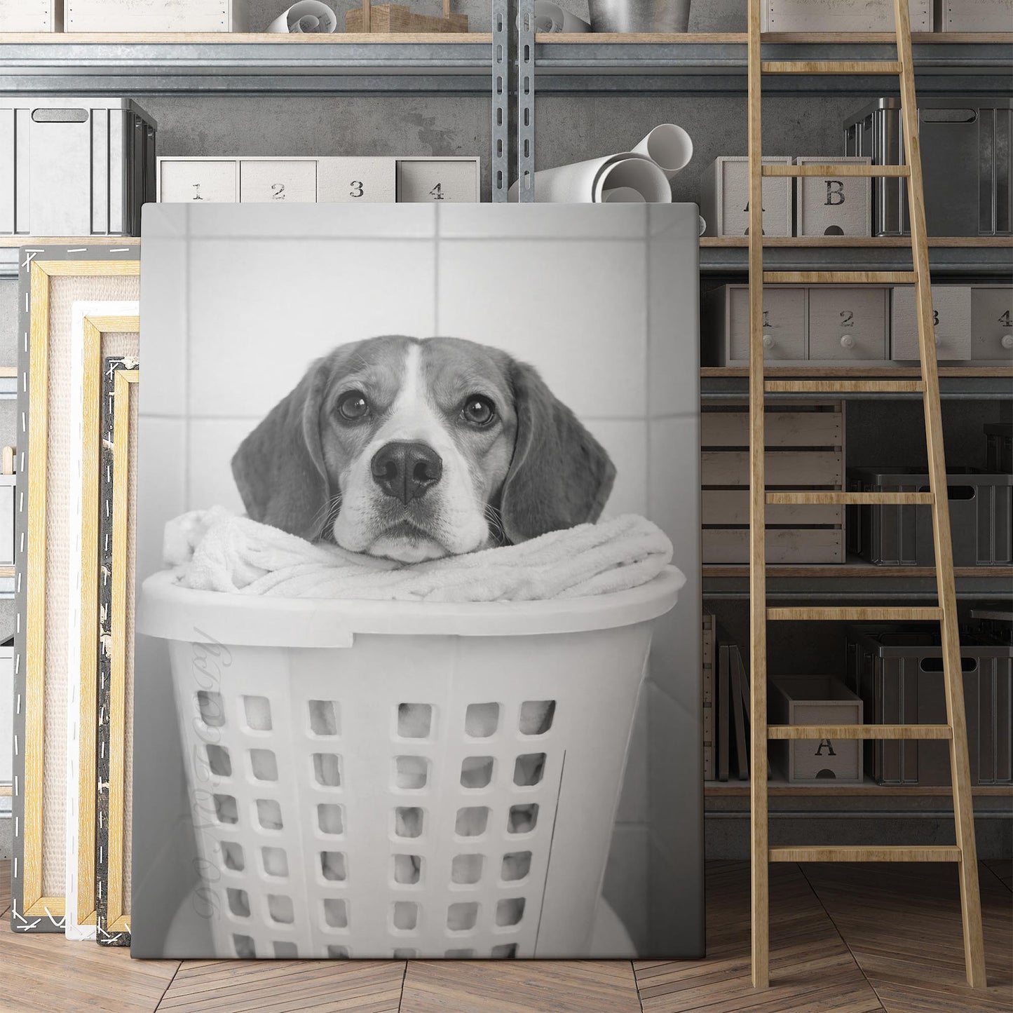 Beagle Dog Laundry