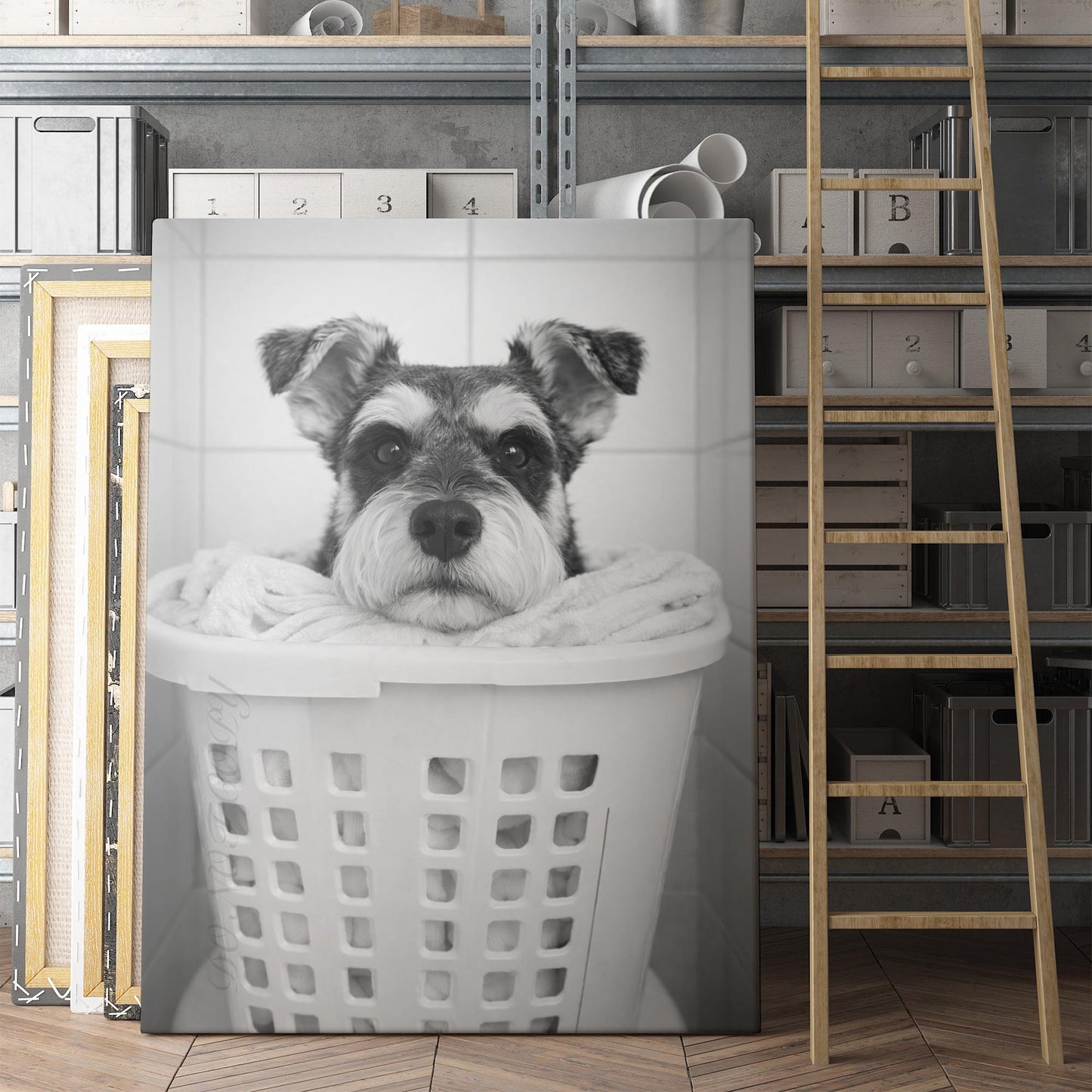 Miniature Schnauzer Dog Laundry