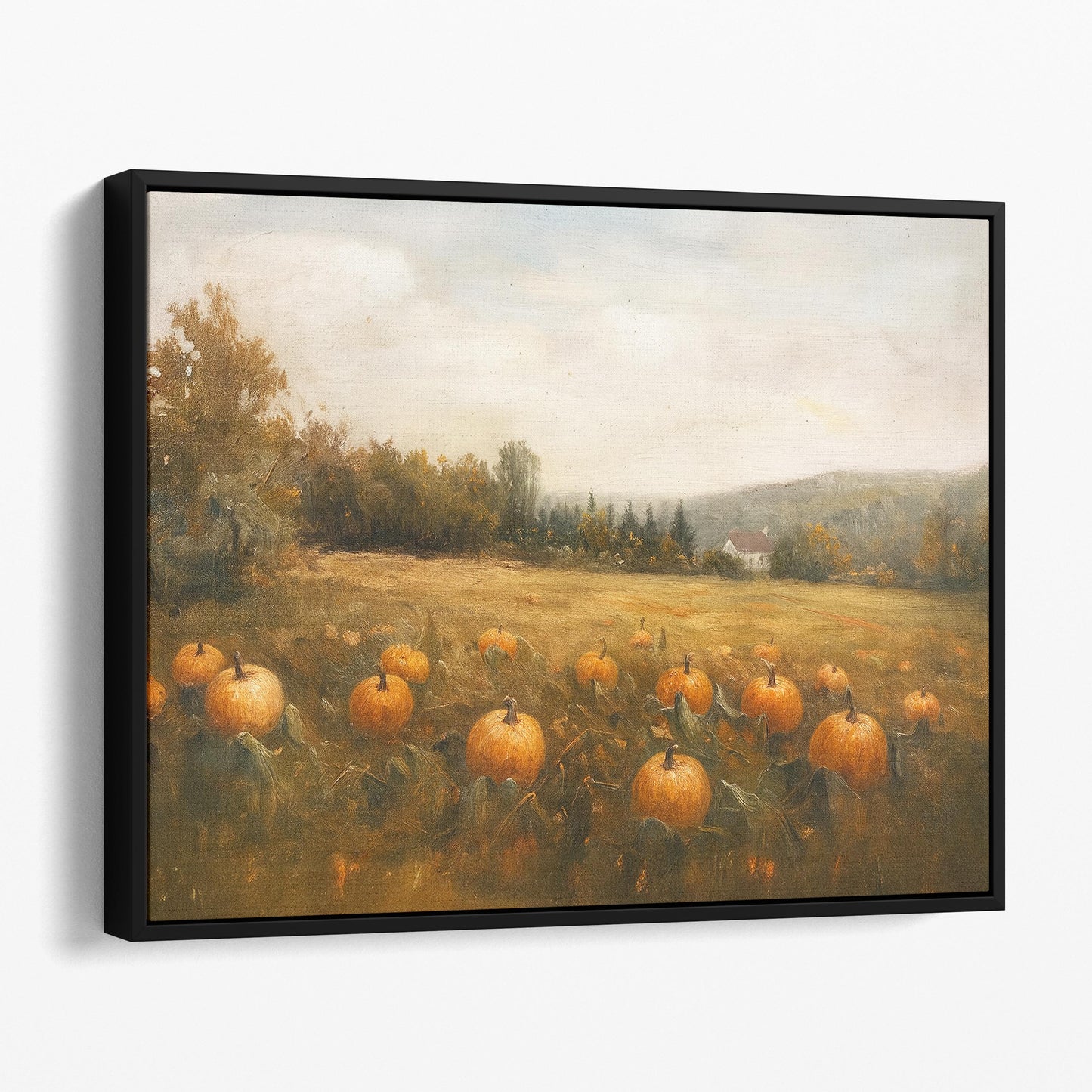 Pumpkin Field Landscape