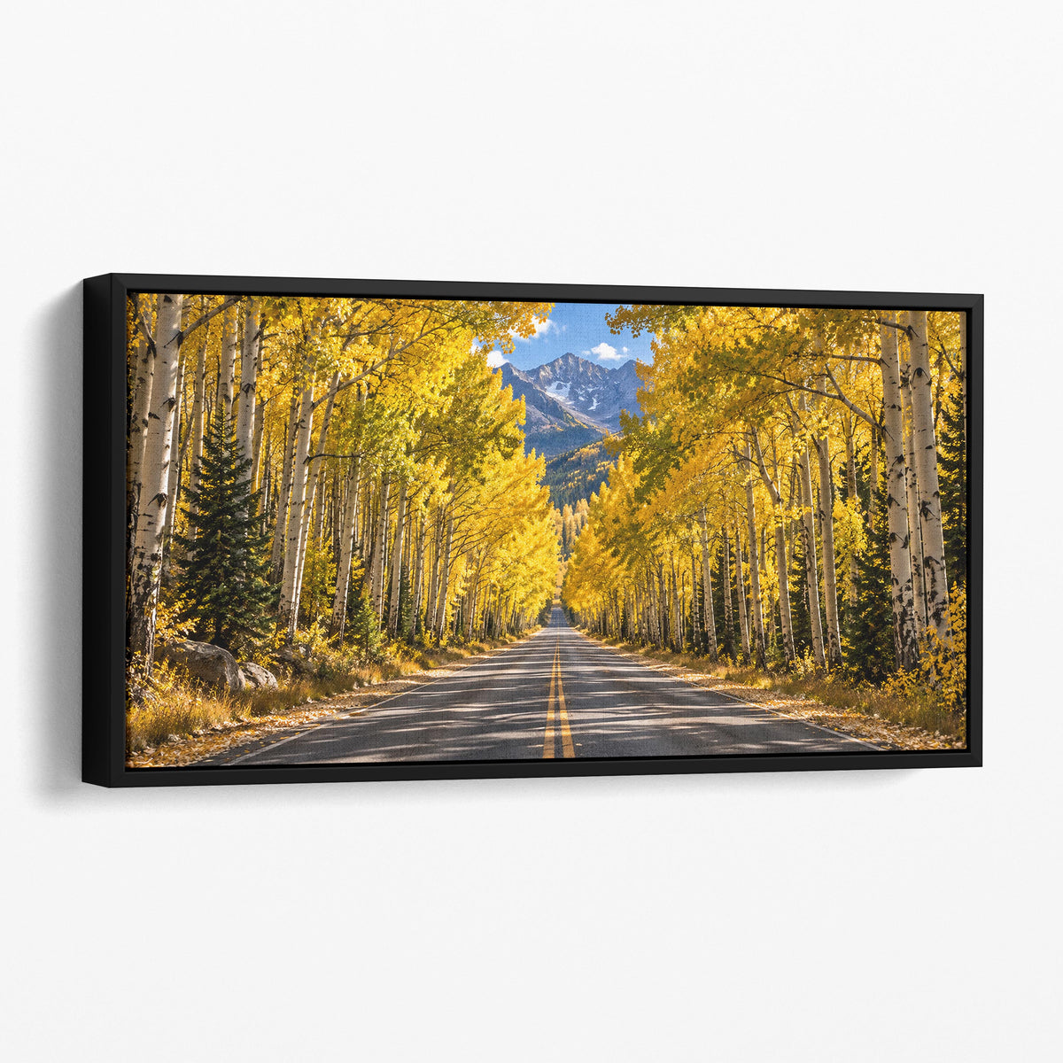 Colorado - Aspen Tunnel