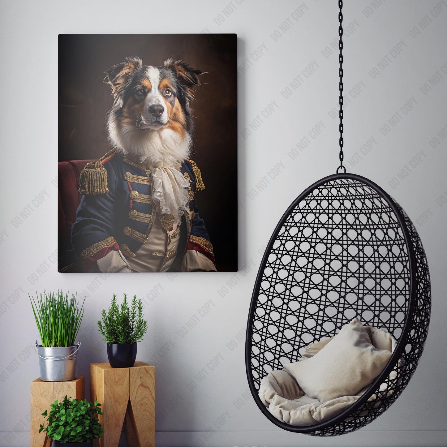 Australian Shepherd Aristocrat Portrait