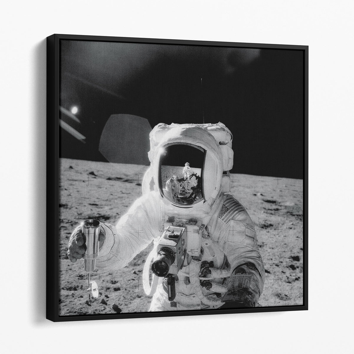 Astronaut Alan Bean on the Moon NASA Photo