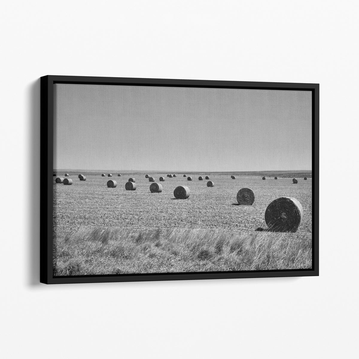 Hay Rolls