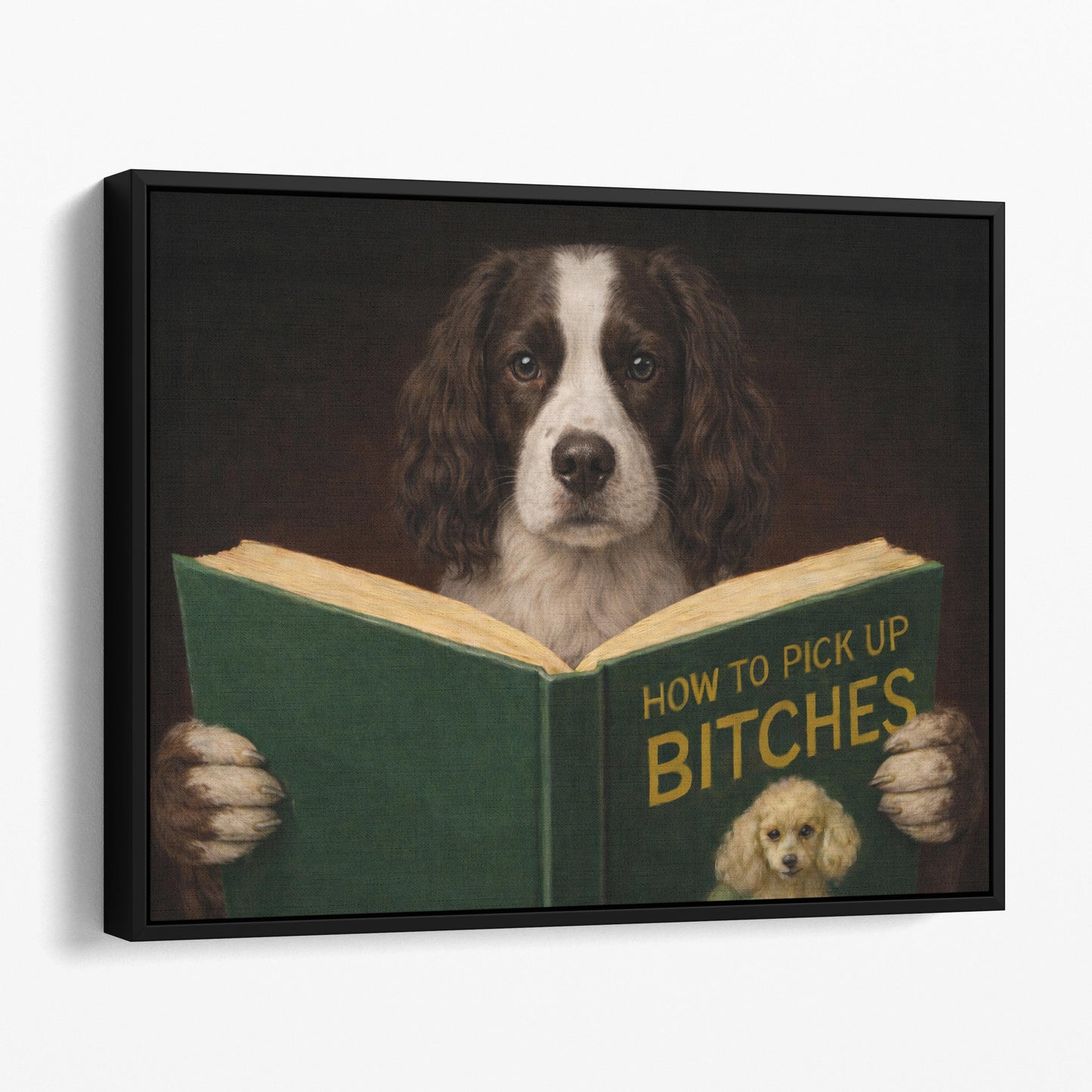 English Springer Spaniel Dog Reading Dating Book