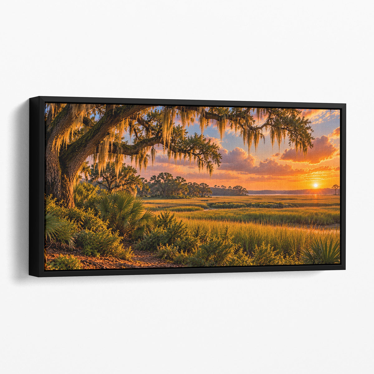 South Carolina Lowcountry