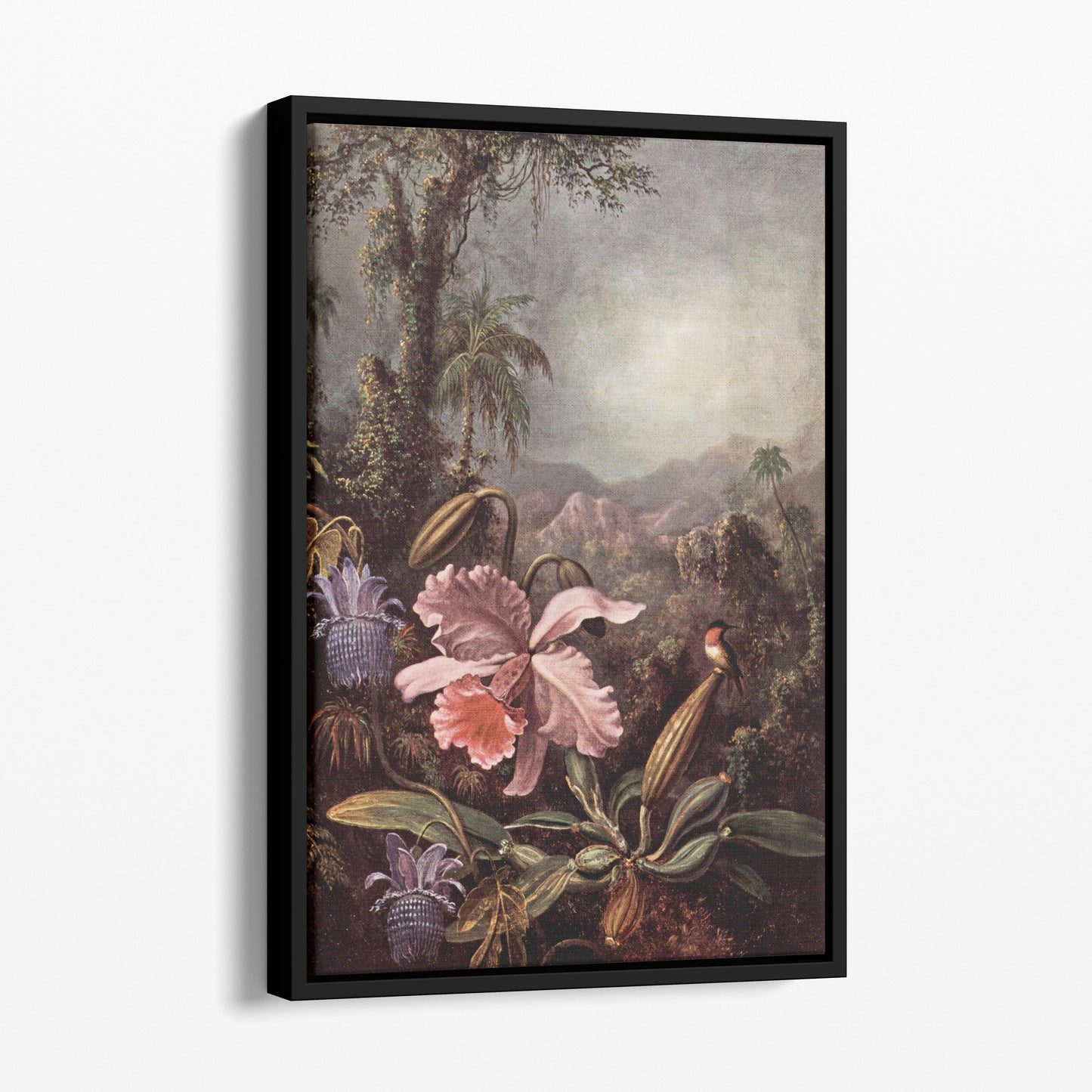 Orchids Passion Flowers And Hummingbird - Martin Johnson Heade