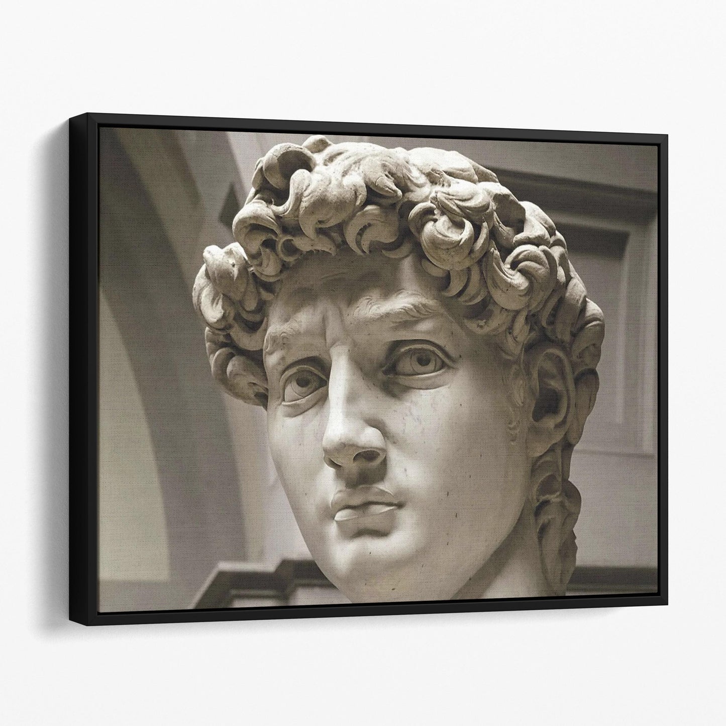 David by Michelangelo