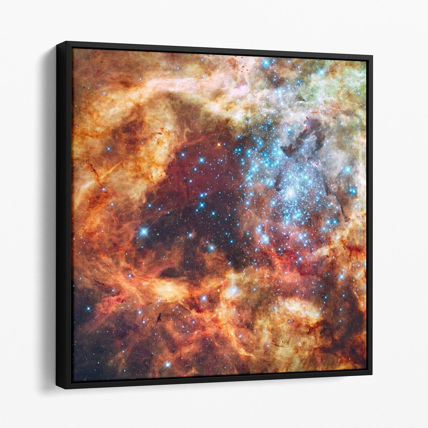 R136 Star Cluster (NASA Hubble Space Telescope)