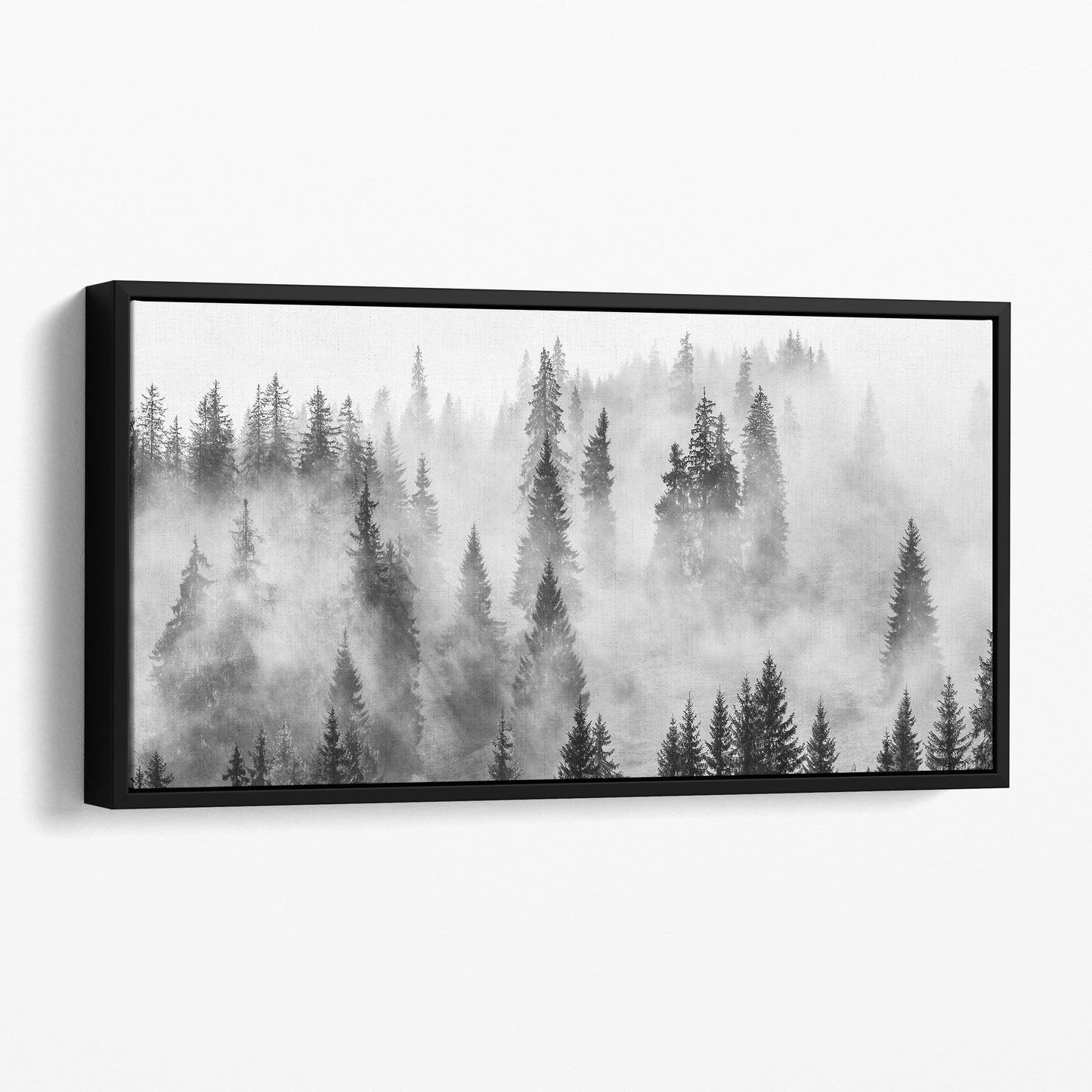 Foggy Forest