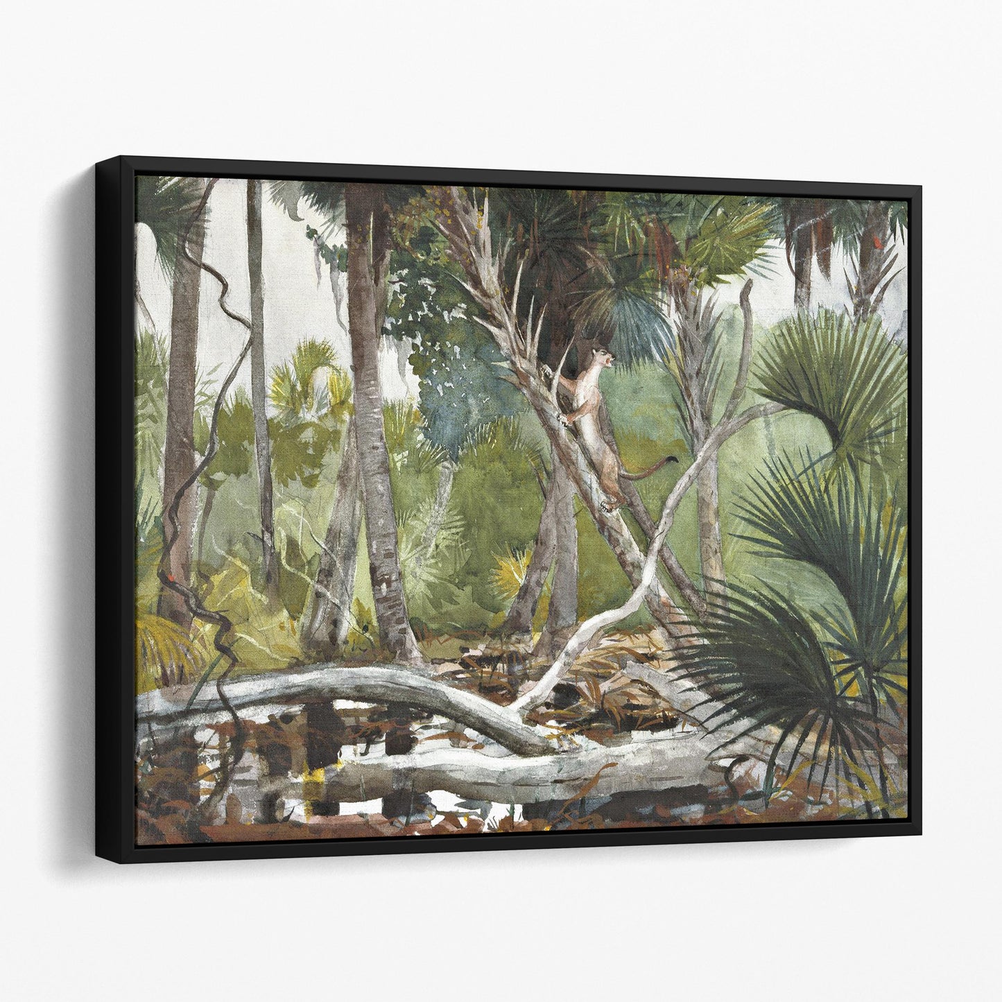 In the Jungle, Florida by Winslow Homer