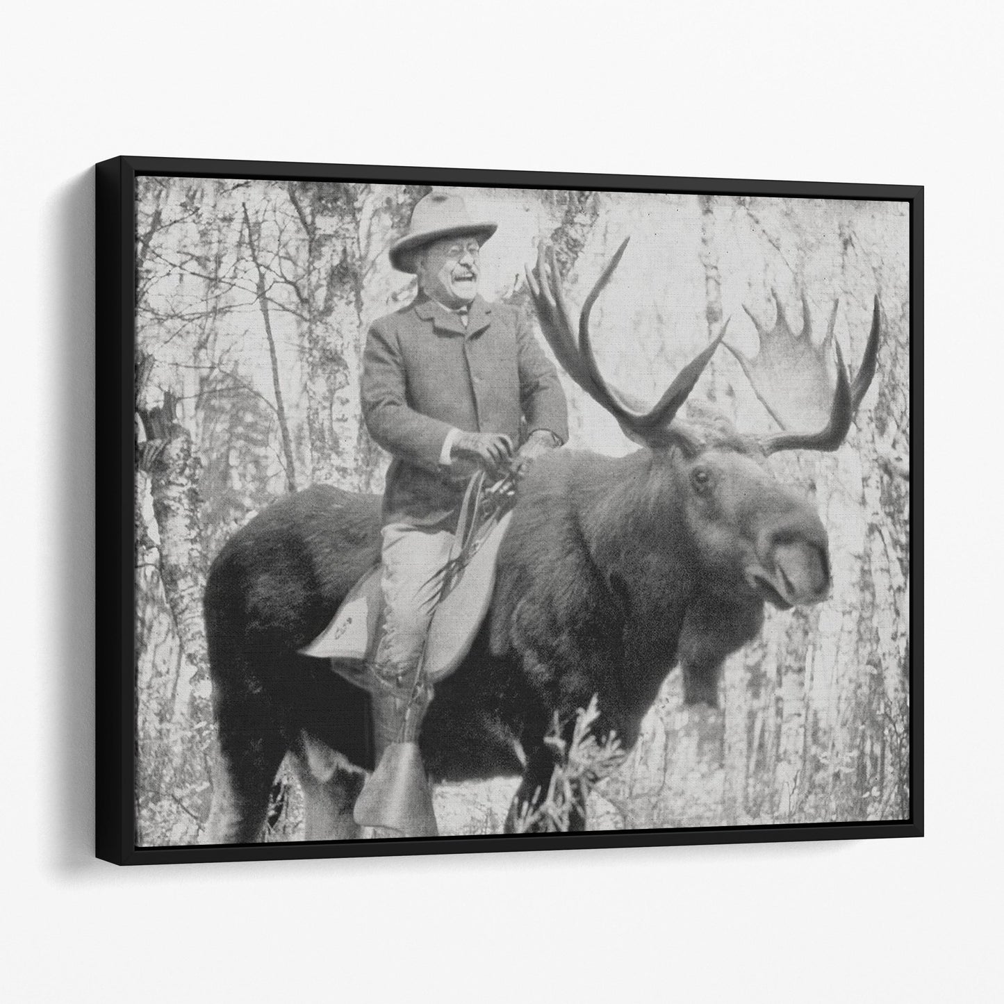 Teddy Roosevelt Riding A Moose II
