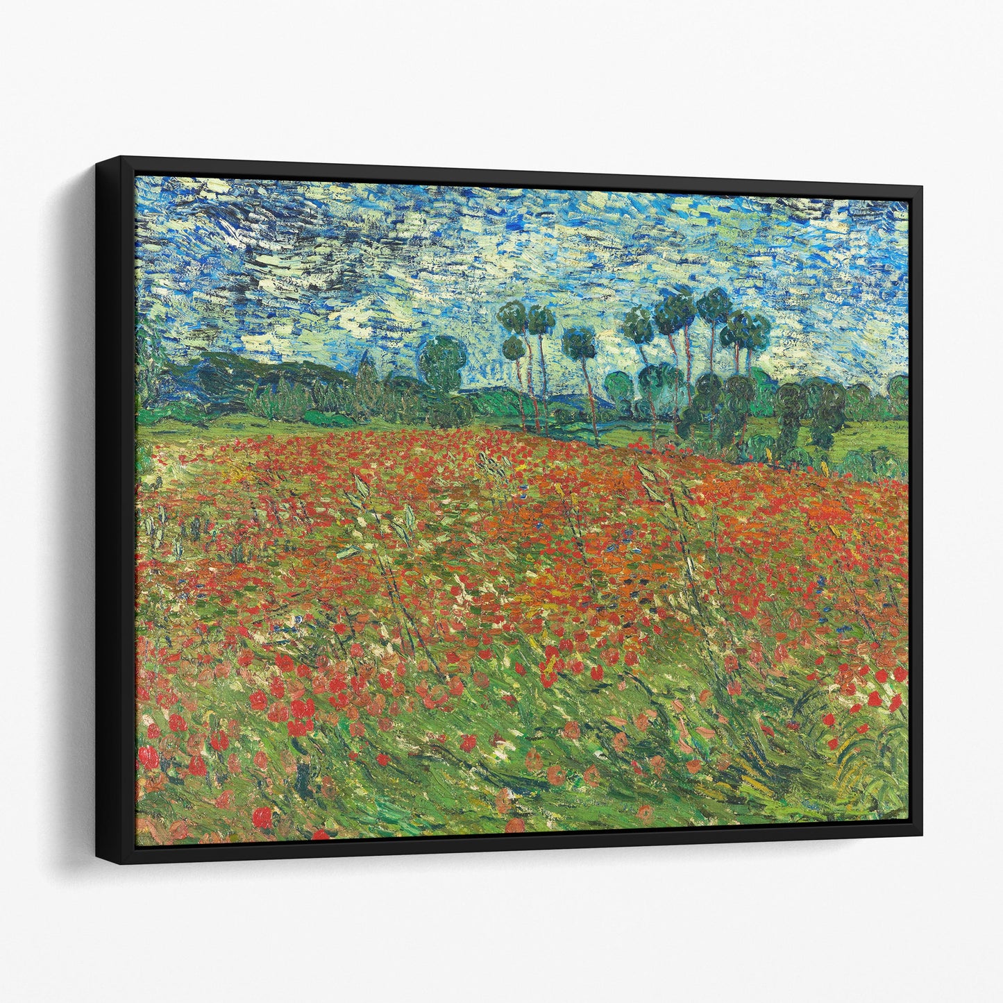 Poppy Field, 1890 by Van Gogh